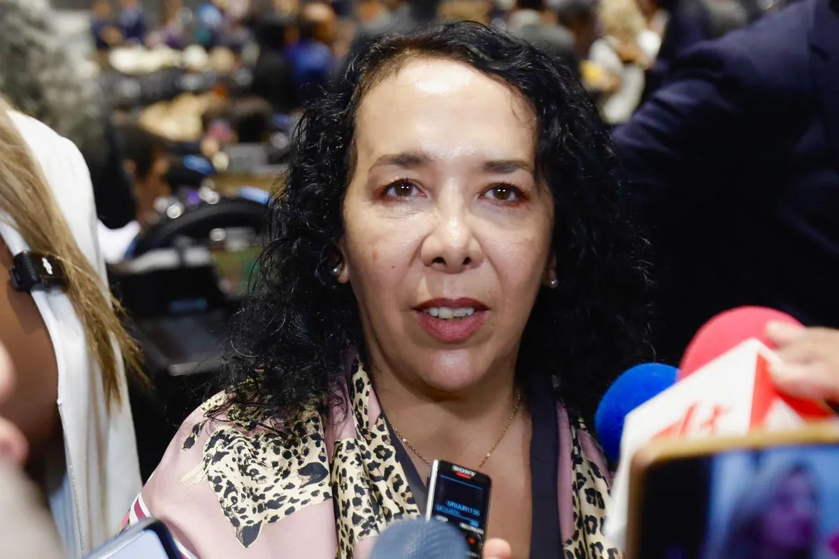 diputada-hilda-araceli-brown-asegura-que-sus-cuentas-no-estan-congeladas-en-eu-me-entere-por-los-medios-afirma_6f281709-787d-4e7d-b021-d3c8b1bd5b36_mediarawimage=true