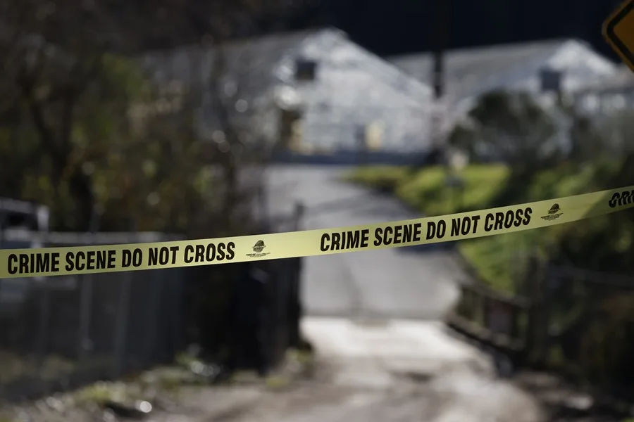 asesinato