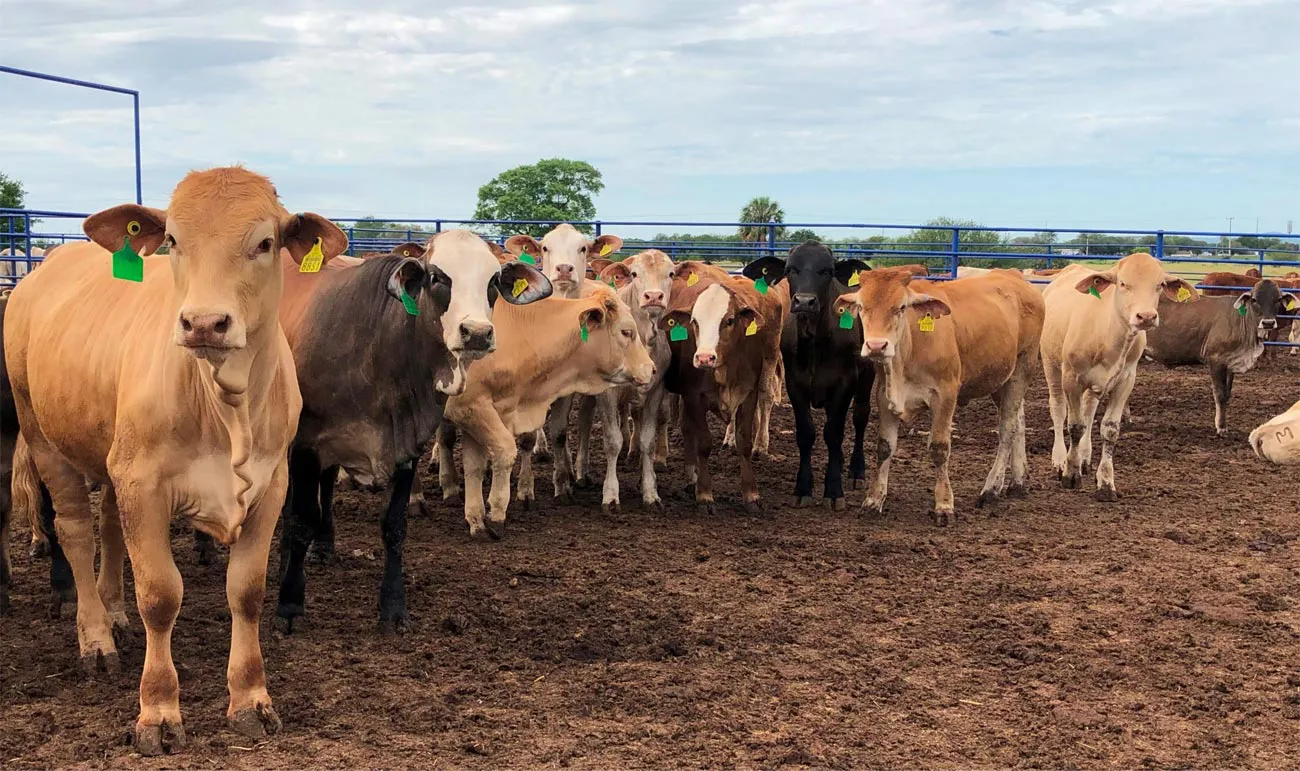 Upload-634f25dacb3e3-18102022