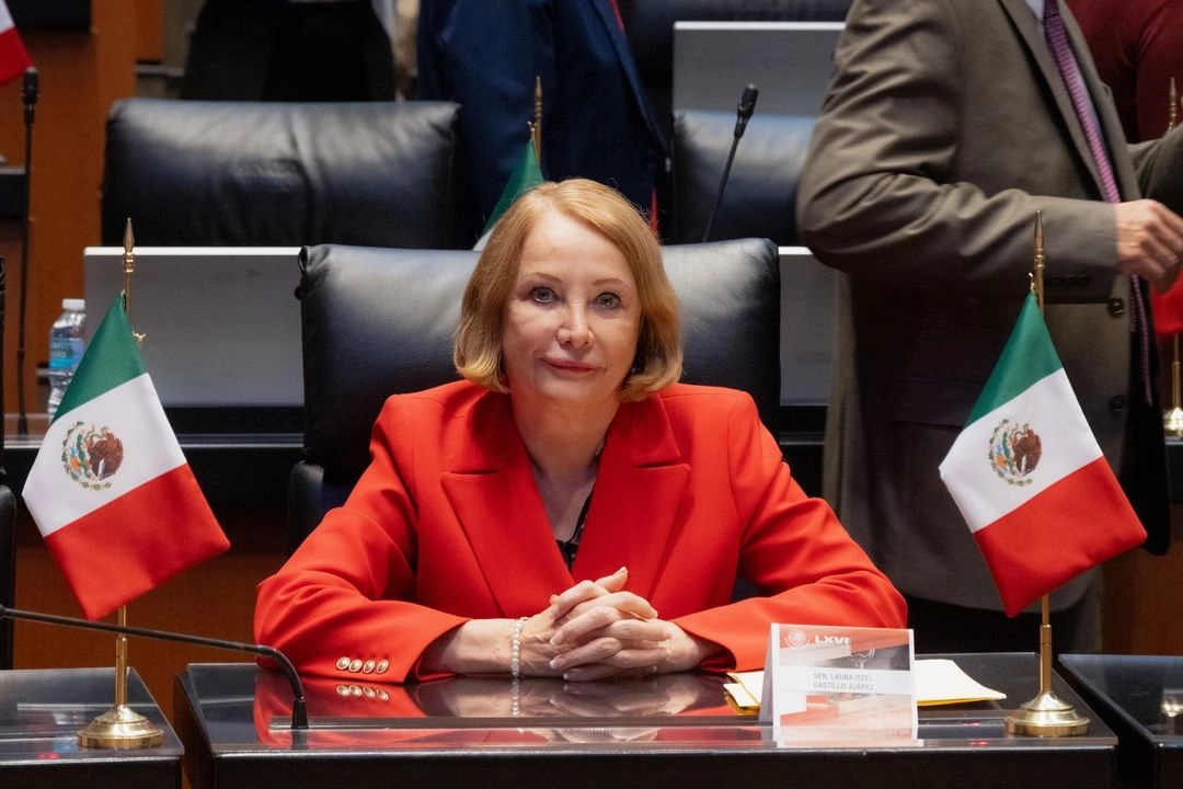 laura-itzel-castillo-dice-tener-temple-para-dirigr-mesa-directiva-del-senado_9d56184c-de87-4957-ab26-07271eca0926_medialjnimgndimage=fullsize