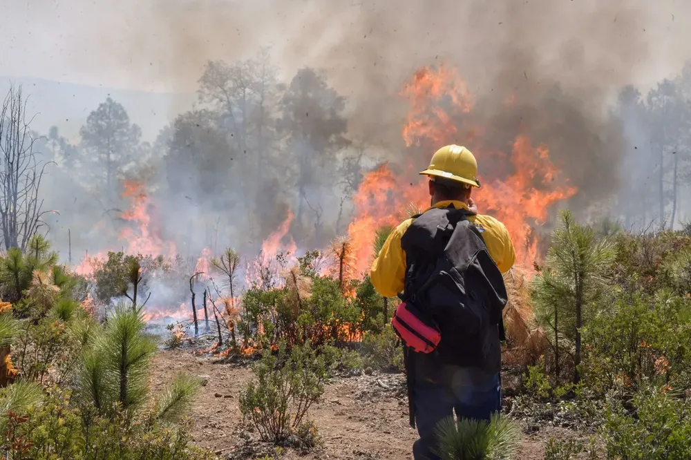 bca56d41-3679-4550-842a-e55868a47f68