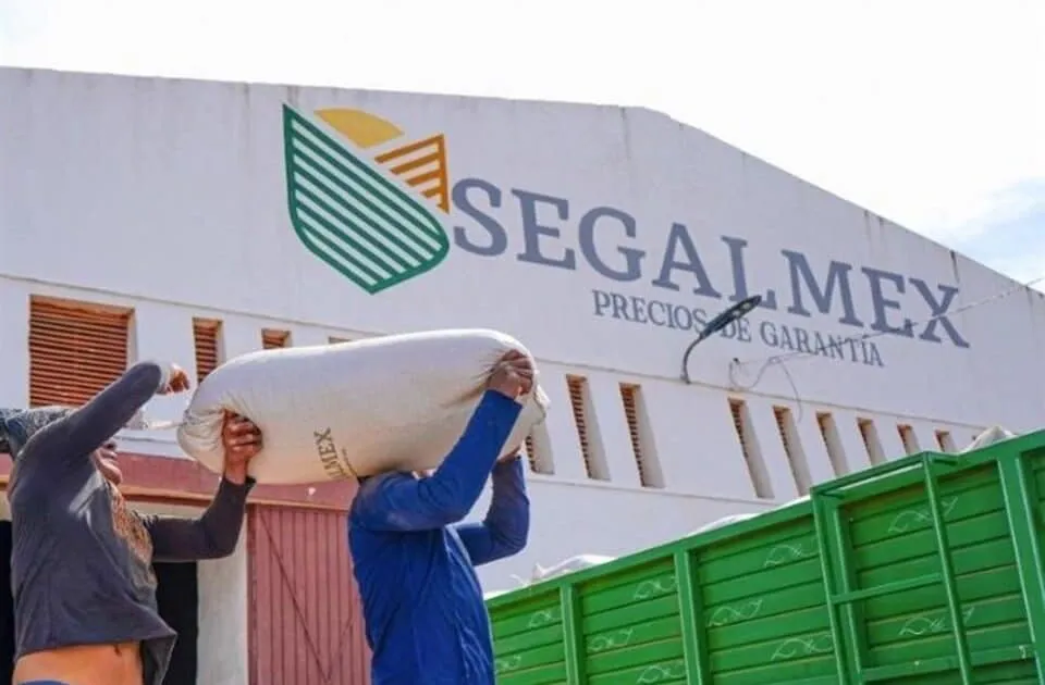 Segalmex-960x630